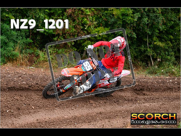 Experts-080