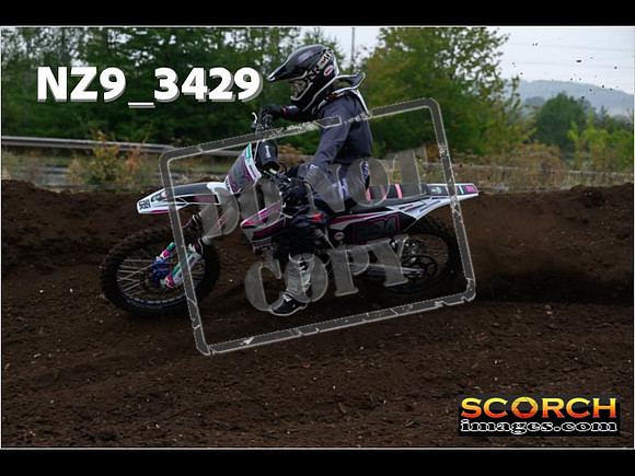 Experts-086