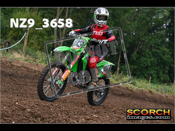 IntersGreenOrange-024