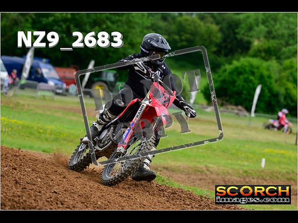 Novice-272