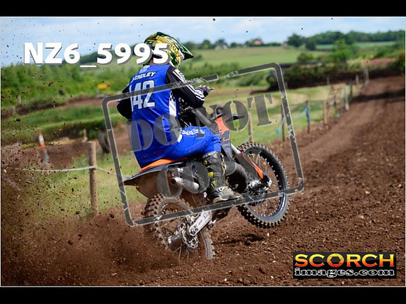 Experts-039