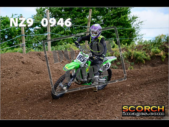 IntersGreen-011