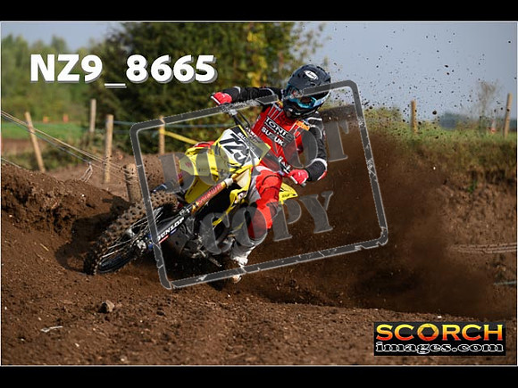 Experts-071