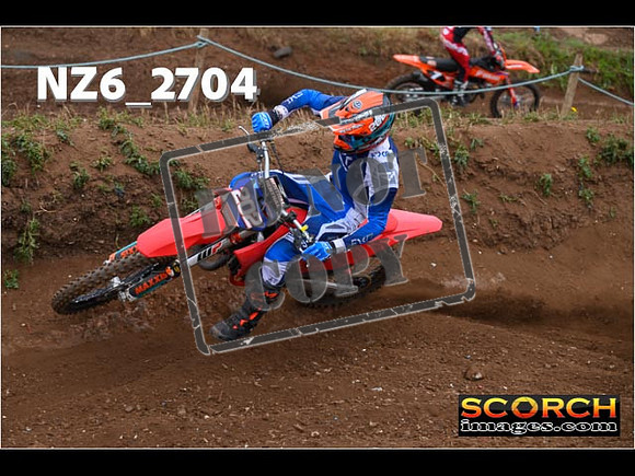Experts-098