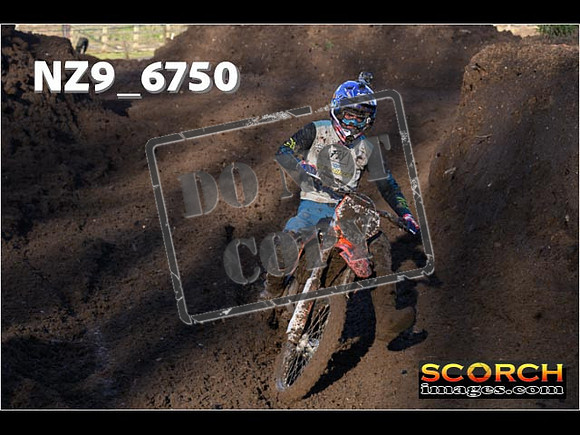 Experts-102