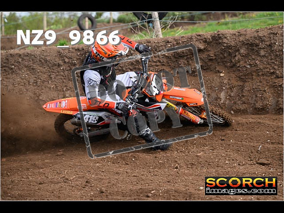 Experts-026
