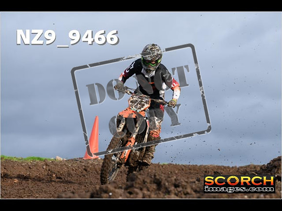Experts-118