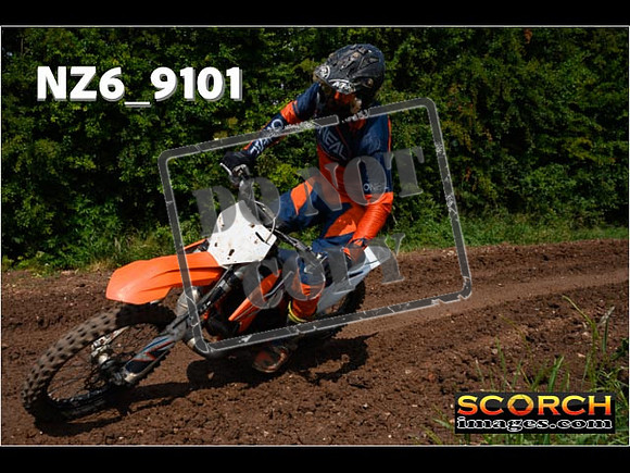 Experts-165