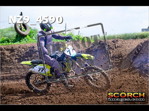 IntersGreen-032