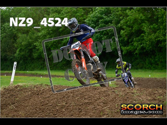 Experts-241