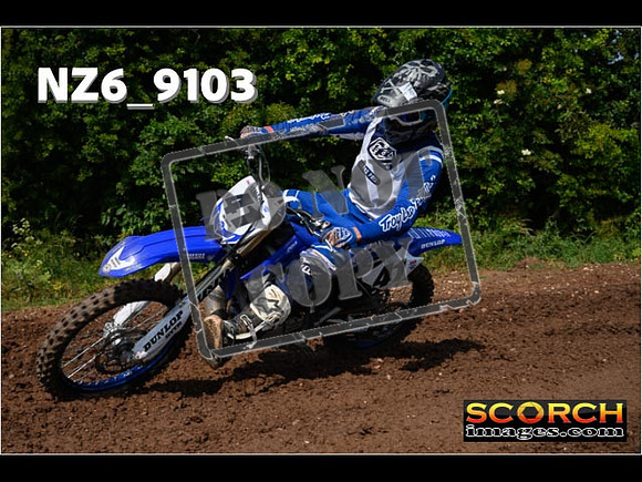 Experts-167