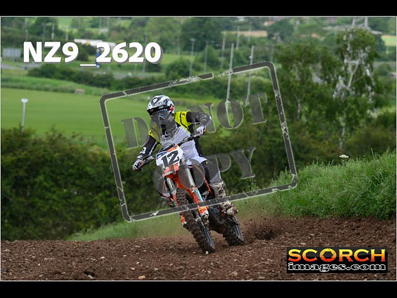 Experts-068