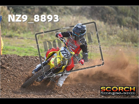 Experts-098