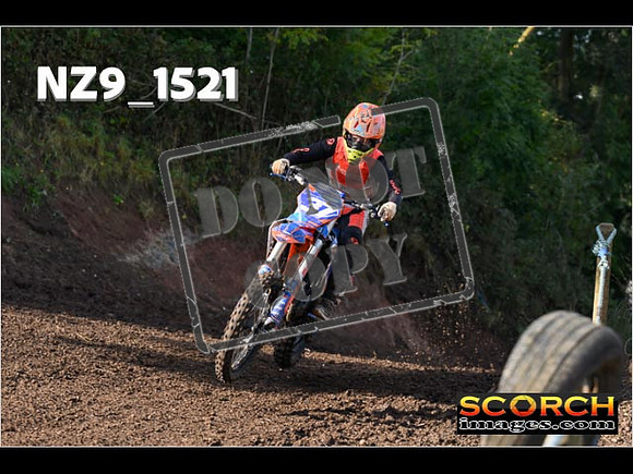 Experts-211