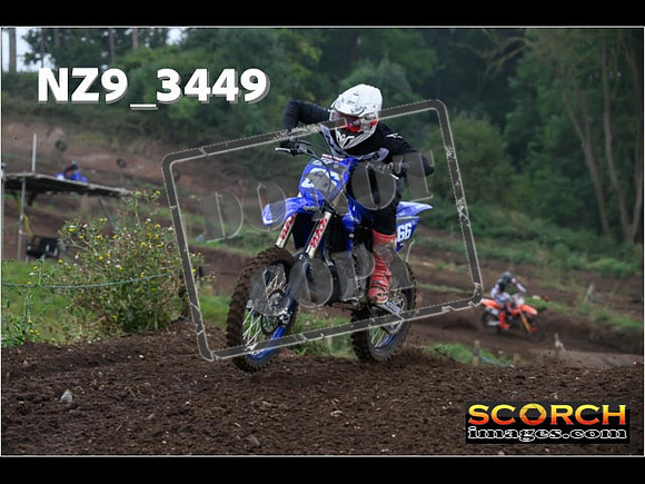 Experts-106
