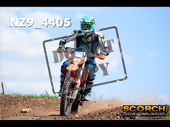InterGreen-304