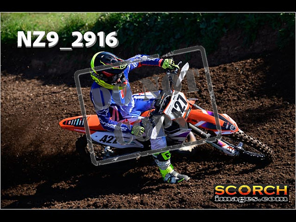 Experts-088