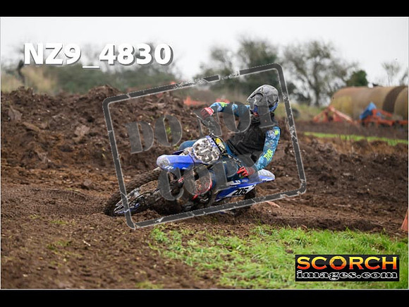 Experts-306