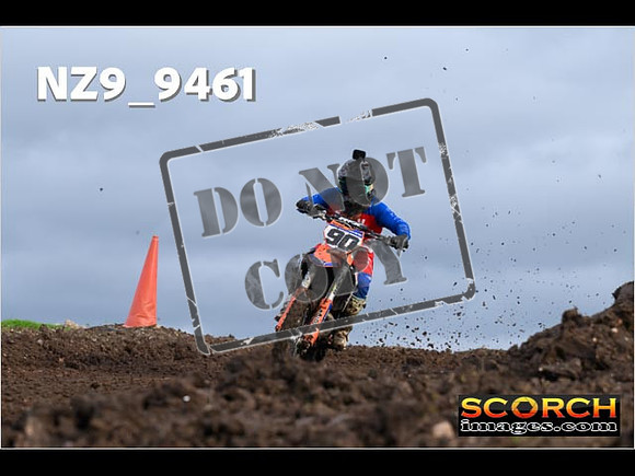 Experts-113