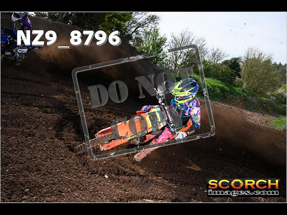 Experts-041