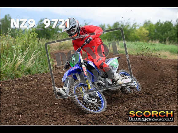 Experts-113