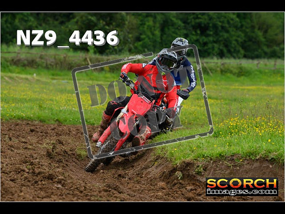 Experts-155