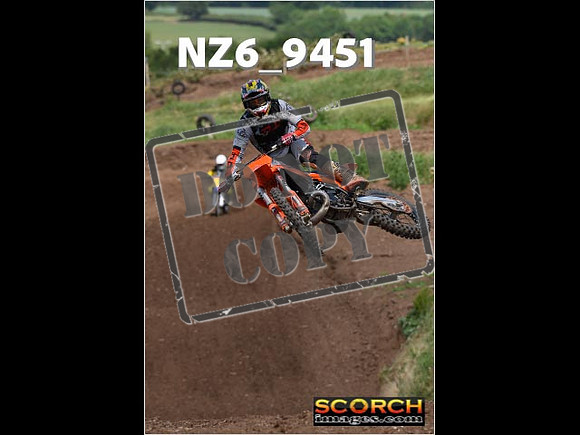 Experts-216