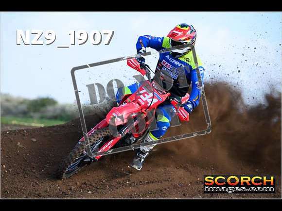 Experts-051