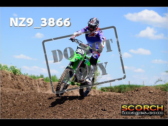InterGreen-151
