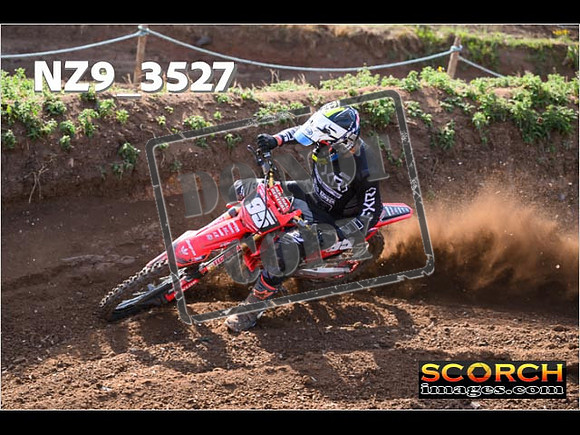 Experts-092