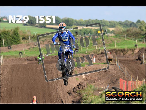Experts-234