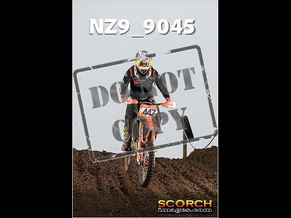 Experts-149