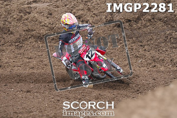 IMGP2281
