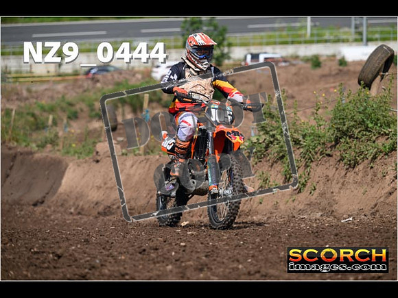 Orange Group-033