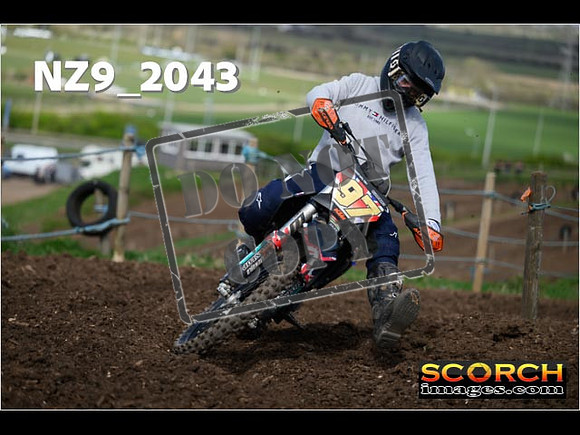 Experts-080