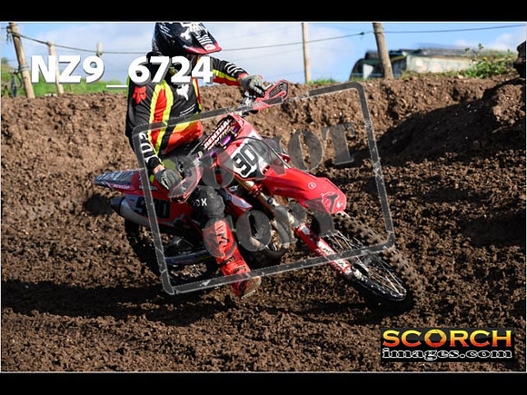 Experts-118