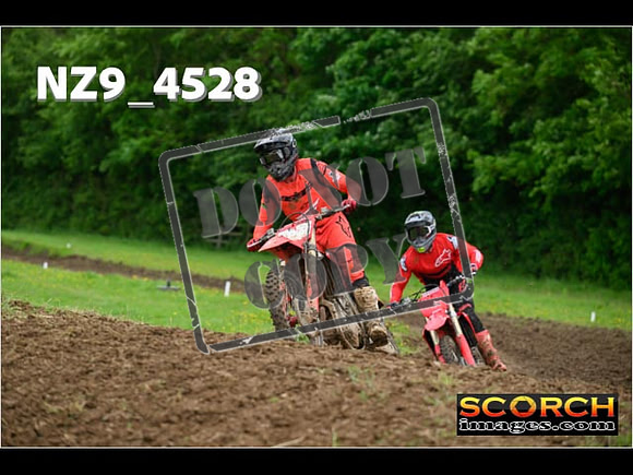 Experts-245