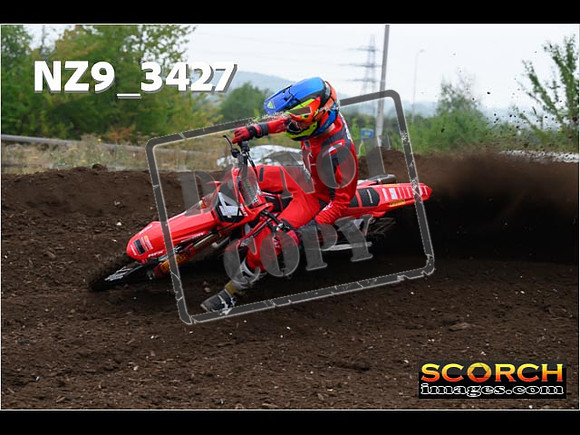Experts-085