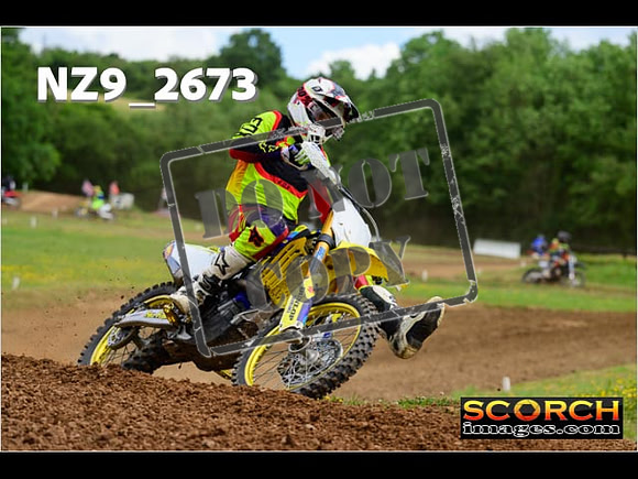 Novice-262
