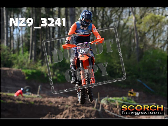 Experts-099