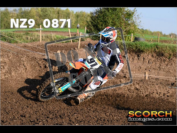 Experts-086