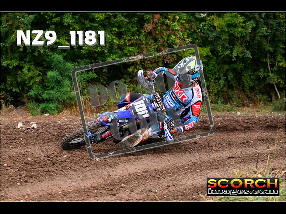 Experts-061
