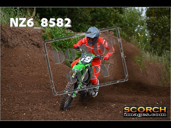 Experts-102