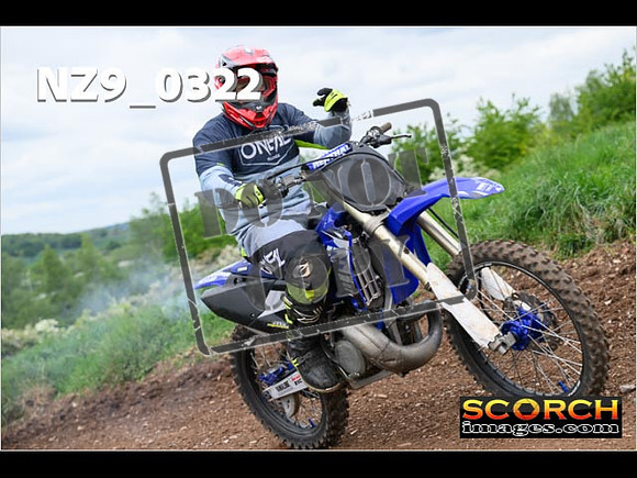 IntersGreen-267