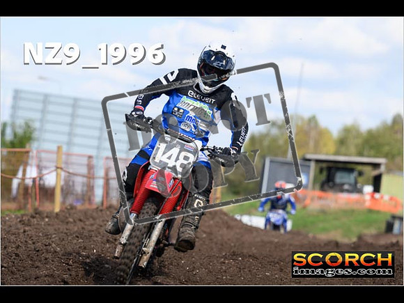 Experts-339