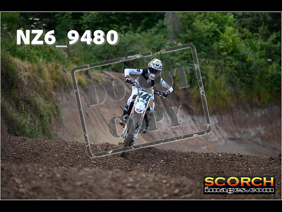 Experts-244