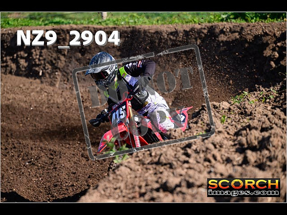 Experts-076