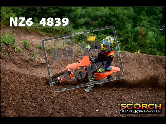 Experts-035