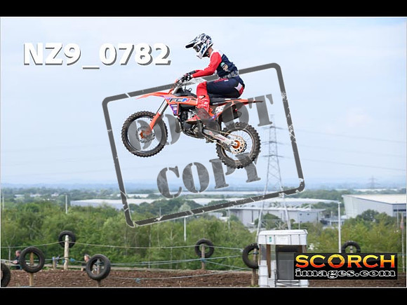 Experts-137