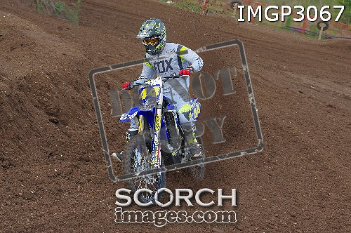IMGP3067